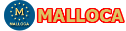 Bảo Hành Bếp Gas Malloca